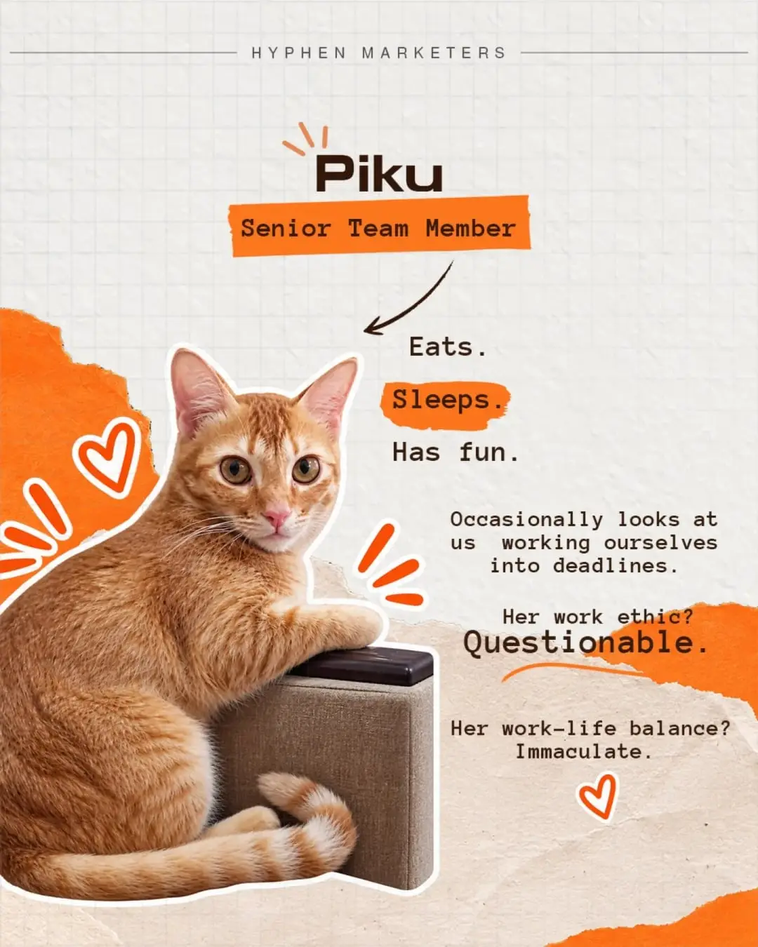 Piku, Senior Team Member